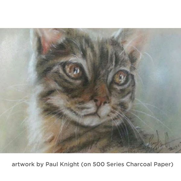  Strathmore 500 Series Charcoal Paper, 25 x 19 Inches, 64 lb,  Smoke Gray, 25 Sheets : Arts, Crafts & Sewing