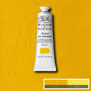 Shops Winsor & newton oil paint