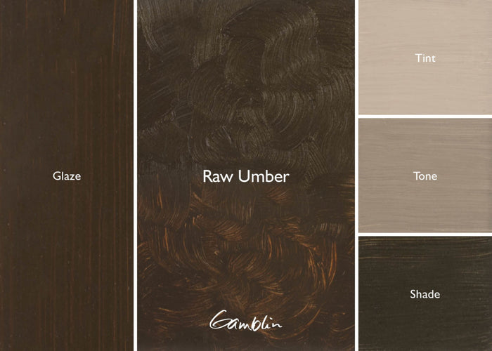 1980 Raw Umber (Gamblin Oil)